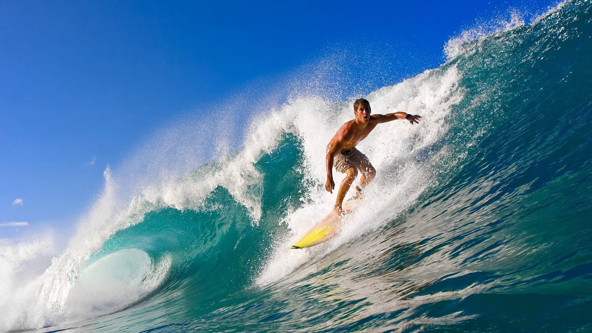 裁判观察：技术裁判团队引入新培训机制提高判罚一致性，裁判人员培训的主要内容包括哪些方面